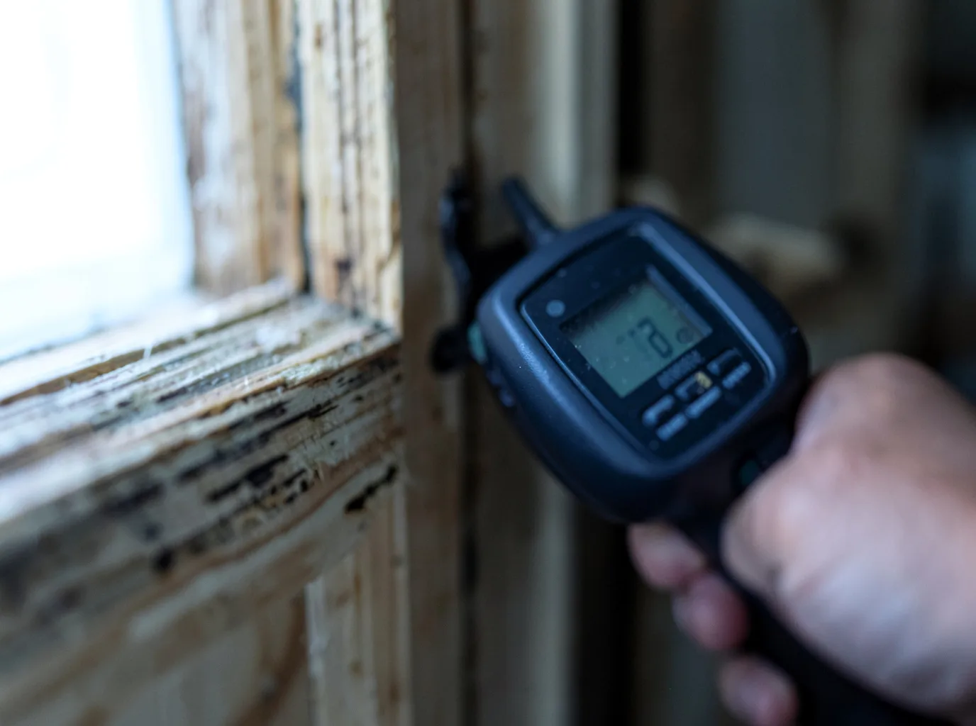 Commercial Water Damage Restoration in Wellington, AL
